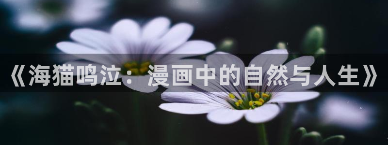 香蕉漫画韩漫网站：《海猫鸣泣：漫画中的自然与人生》